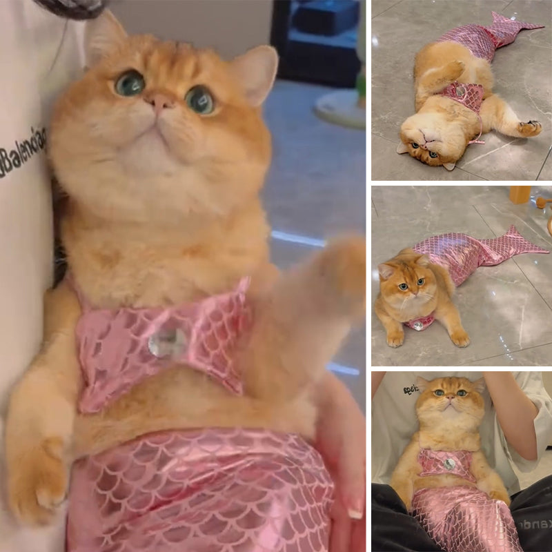 Funny Cat Mermaid Clothing