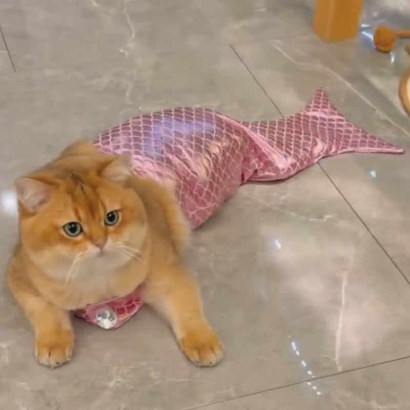 Funny Cat Mermaid Clothing