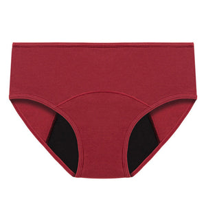 Upgrade Plus Size High Waist Leak Proof Panties