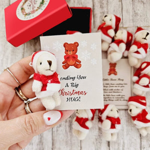 Teddy Bear Christmas Gift