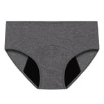 Upgrade Plus Size High Waist Leak Proof Panties