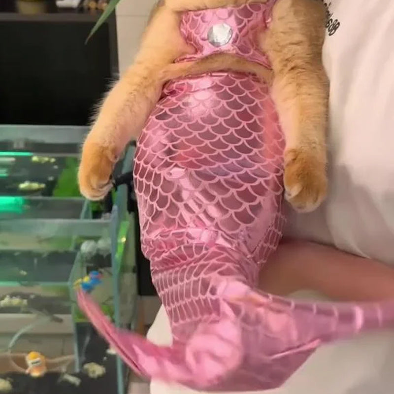 Funny Cat Mermaid Clothing