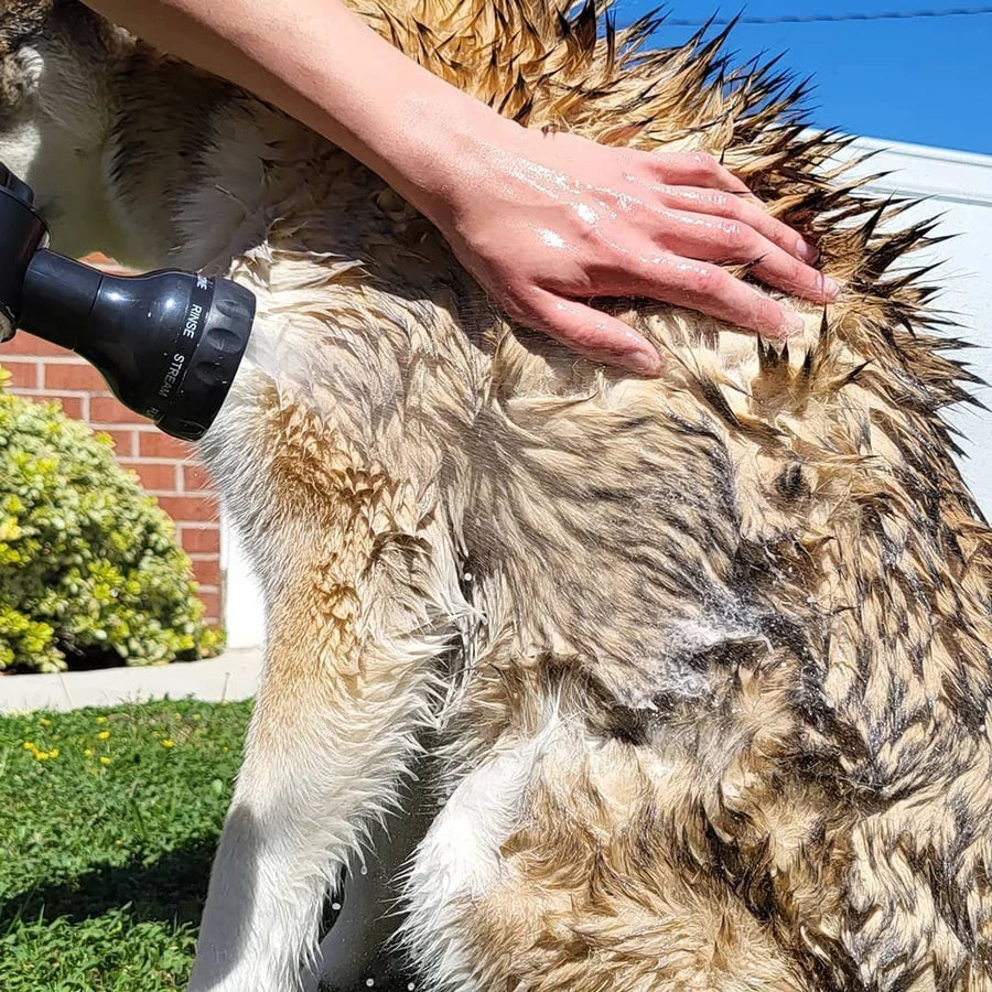 Multifunctional Foam Washing Gun