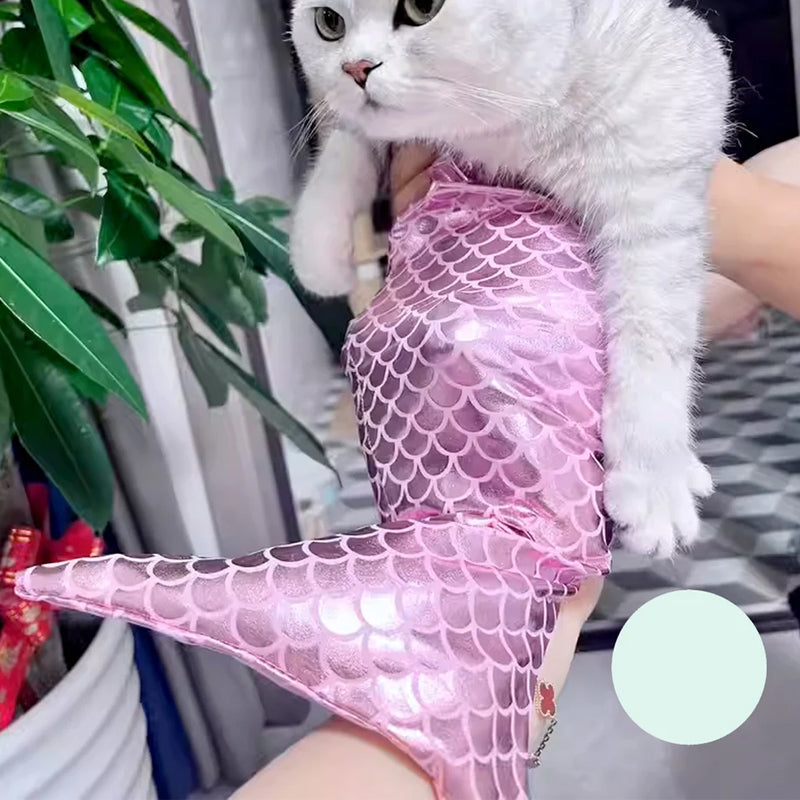 Funny Cat Mermaid Clothing