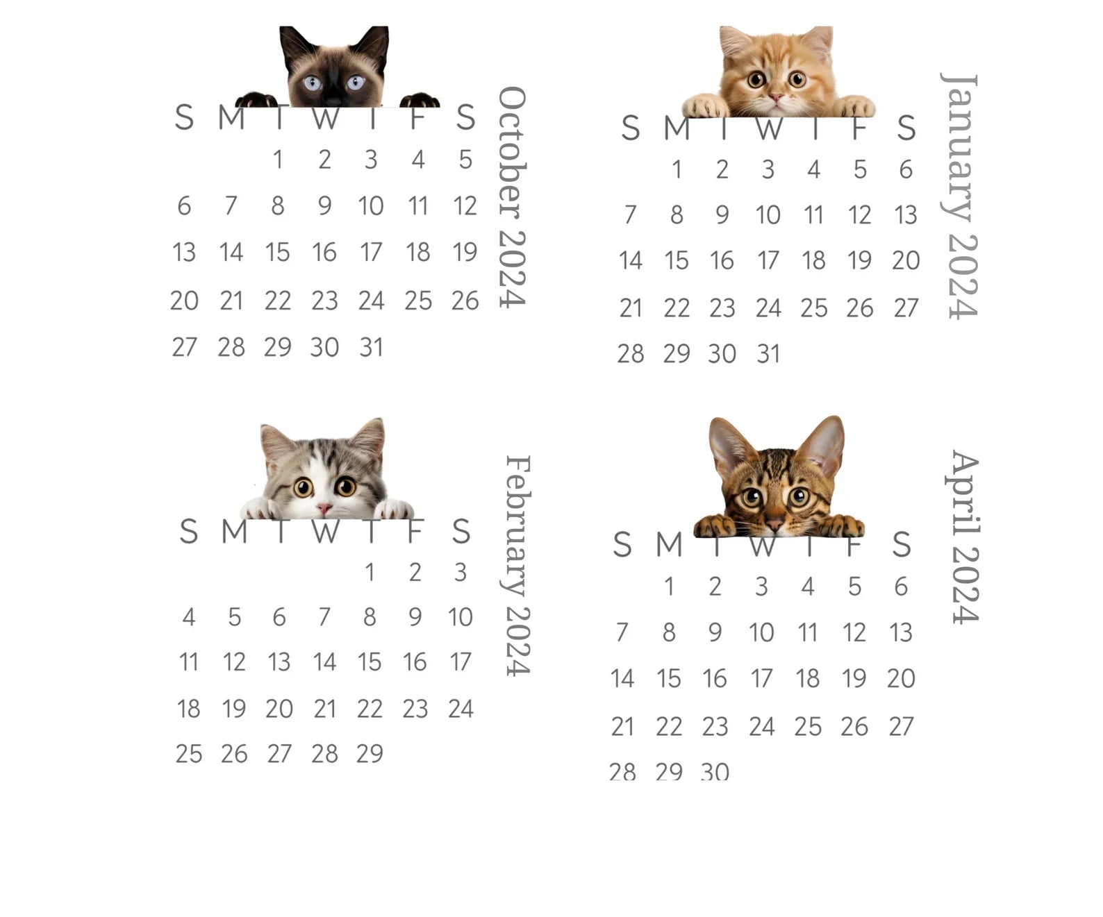 2024 Peeking Cat Desk/Wall Calendar