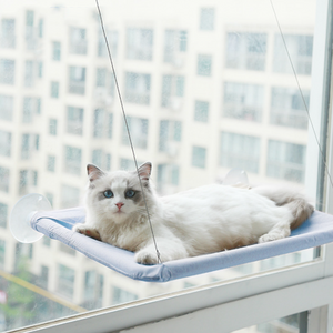 Indoor Cat Hammock