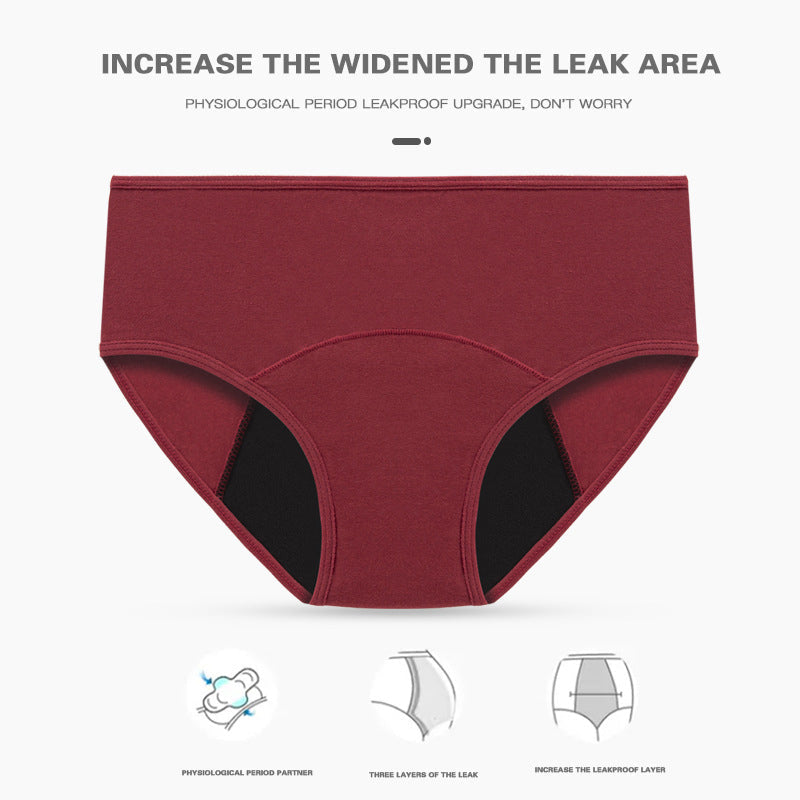 Upgrade Plus Size High Waist Leak Proof Panties