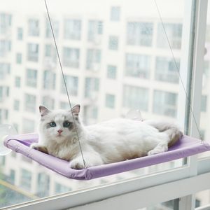 Indoor Cat Hammock