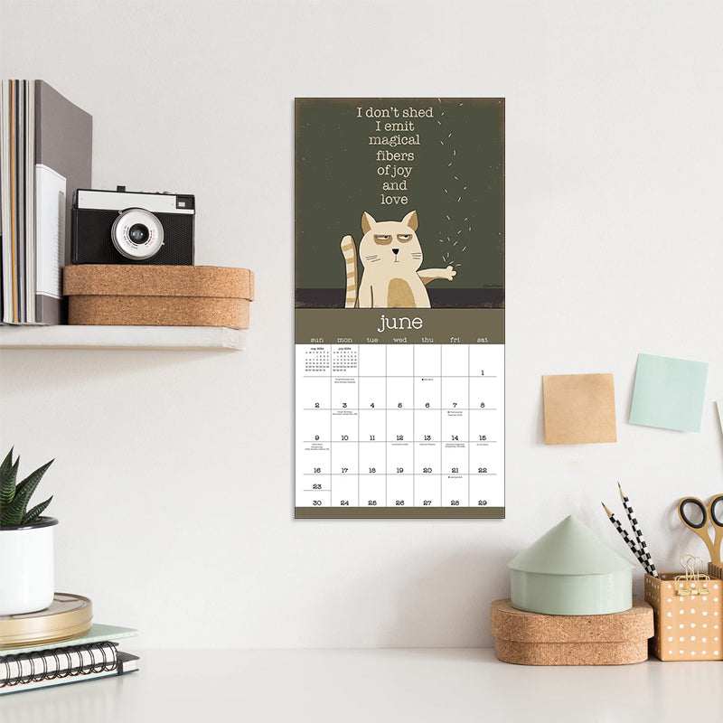 A Year of Snarky Cats 2024 Wall Calendar urdreamlife