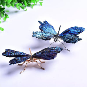 Aura Tourmaline Kyanite Dragonfly